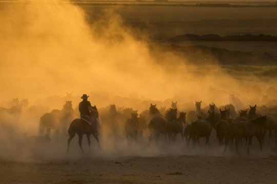 Wild West of Insurance Claims