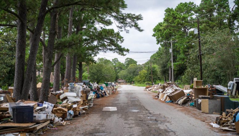 an insurance adjuster surveys damage from harvey