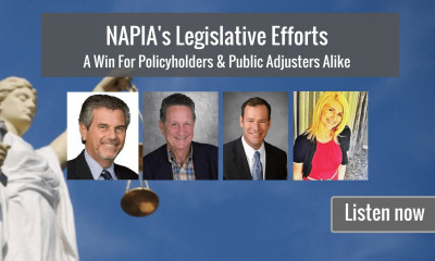 NAPIA Legislative Efforts Podcast SM v3