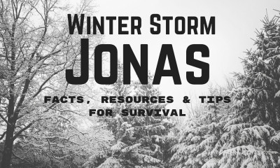 Winter Storm Jonas Facts