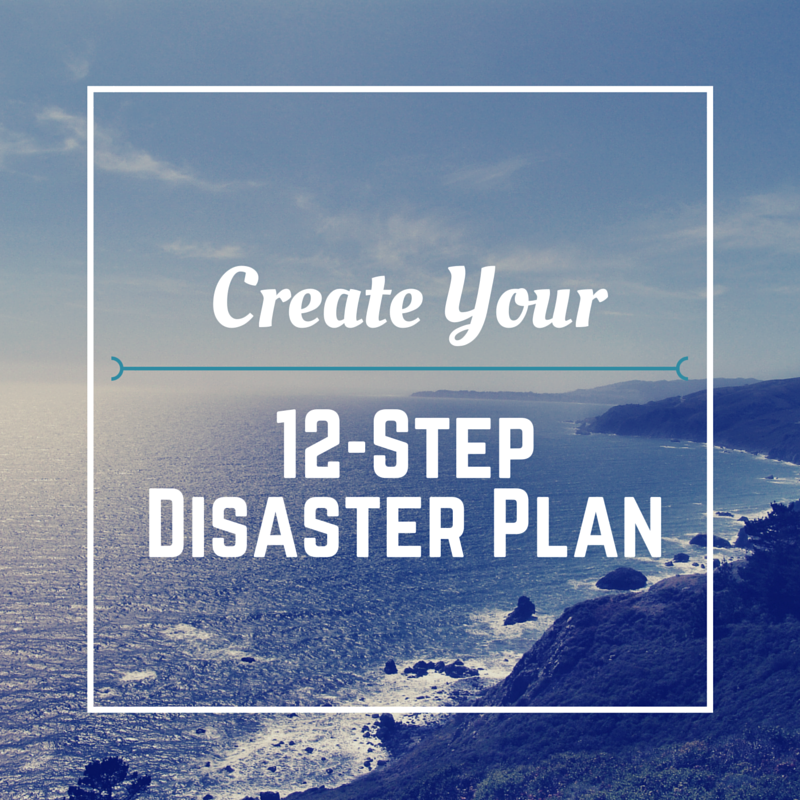 12 Step Disaster Plan 