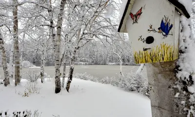 Winter Storm Insurance Claim Snow